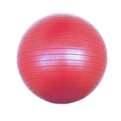 Animate Fitness ball - fitness ball supplier