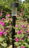 KAY-1SL02R | SOLAR LED Garden Light