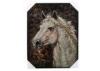 Hand-painted canvas abstract animal oil painting Artworks of horse