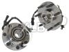 wheel hub bearing 1L34-1104BA