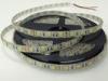 Double Row Led Strip 5050 Light Ip68 Remote Control 60 Led / Meter