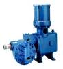 Supply Neptune Metering Pump