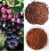 What is Grape seeds Extract