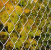 Chain Link Fence weave mesh