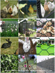 High quality Hexagonal Chicken Wire Netting