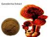 What is Ganoderma lucidum Extract?