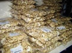Sale Raw Cashew Nuts