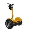 Smart Balance Two Wheel Segway Scooter For Short Distance Travel 15-20KM