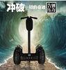 19 Inch Tire Two Wheel Electric Chariot Scooter Off Road Segway Outdoor Sports