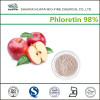 Apple Extract Phloretin 98% Powder