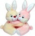 Tabby Toys Cute & Sweet Bunny Couple Teddy