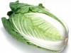 China High Quality Fresh Long Cabbage