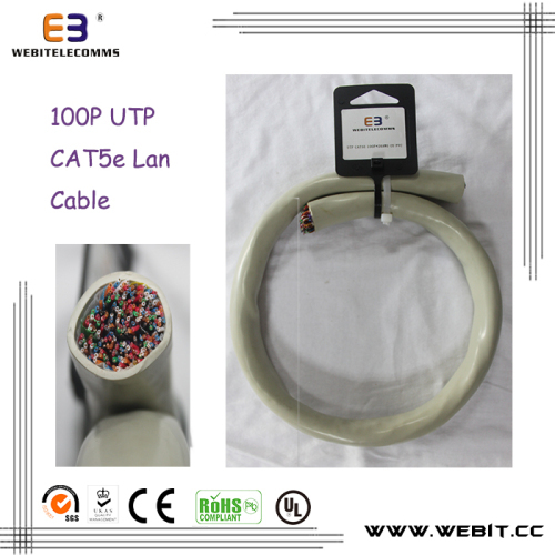 100P CAT5e UTP lan cable