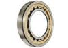 Single Row Cooper Cage Bearing Steel Cylindrical Roller Bearing P5 Standard 65*120*23