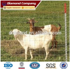 High Quality Farm Guard Field Fence / Cow Fence / Grassland Fence