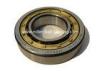 Precise Single Row Cylindrical Roller Bearing Inner Side Without Guard Bearing Steel 30*62*16