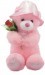 Tickles Cute Teddy With A Rose