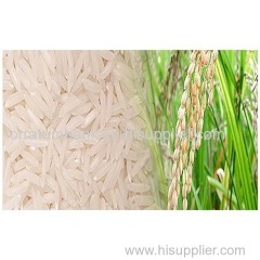 Non Basmati Fine Rice