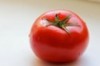 FRESH TOMATO FRESH TOMATO