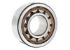 Nylon Cage Single Row Cylindrical Roller Bearing Support Zv1 Zv2 Zv3