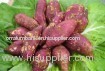 Fresh Red Sweet potatoes
