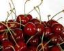 Fresh Cherries (CountryRegion:Chile )