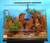 aquarium landscaping background board