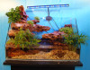 aquarium landscaping home and office