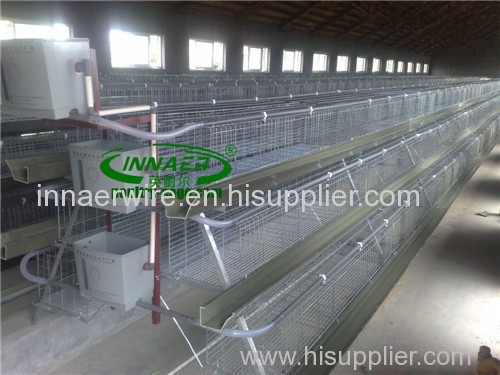 Broiler Cage for sale