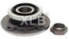 wheel hub bearing 95 666 965