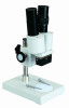 20X student stereo microscope/ portable student microscope