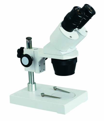 10X/20X binocular stereoscopic microscope for kids