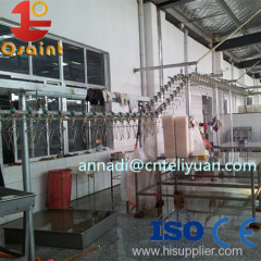 Halal chicken slaughter poultry processing plant