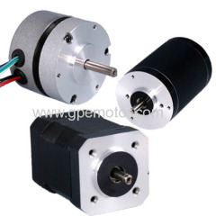 DC Motor 24V Brushless 750W