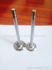 Agriculture Machinery Diesel Engine Valves
