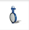 Worm wafer soft seal butterfly valve