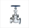 LCB Low Temperature Globe Valve