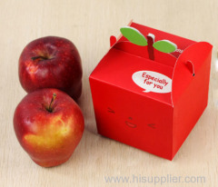 Lovely color paper Christmas Box for apple