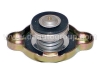 AUTO PARTS Radiator Cap