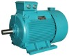 Y-H Series Three-phase Marine Motor