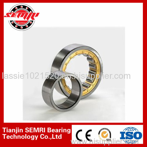 cylindrical roller bearing 1(skp:TJSEMRID)