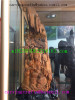 Wood Carving Buddha Crafts eaglewood-3