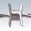 Stainless steel Barbed Wire