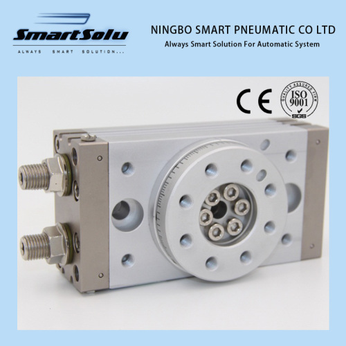 FESTO STYLE ISO6431 ISO15552 Type Pneumatic Air Cylinder