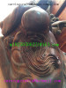 Dark wood Buddha beads pterocarpus indicus-Star of Longevity3