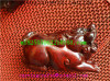 Jinsi Nanmu Buddha beads pterocarpus indicus-2