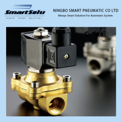 100% Test High Quality Two Way Brass Solenoid Valve