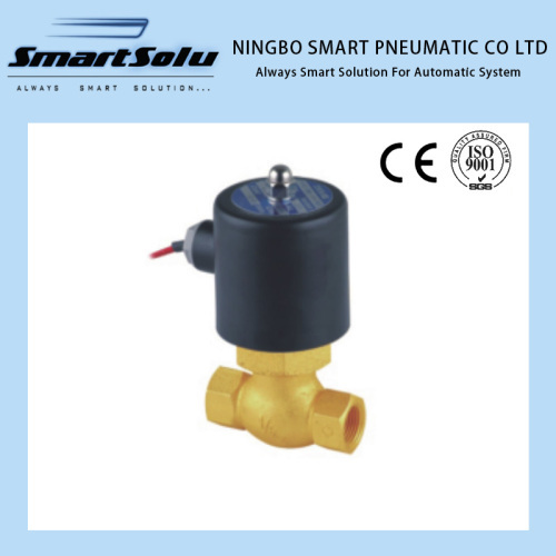 100% Test High Quality Two Way Brass Solenoid Valve