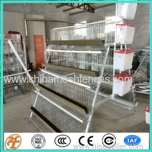 A and H type automatic chicken coop cages in tiers for poultry house