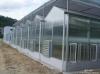 UNQ Hard plastic sheet/polycarbonate four wall sheet of greenhouse